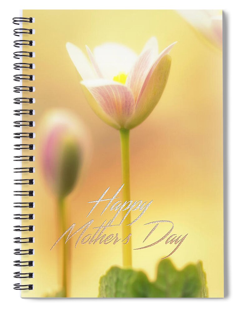 mother's Day Spiral Notebook featuring the photograph Mother's Day Greeting Card - Bloodroot Wildflower by Carol Senske