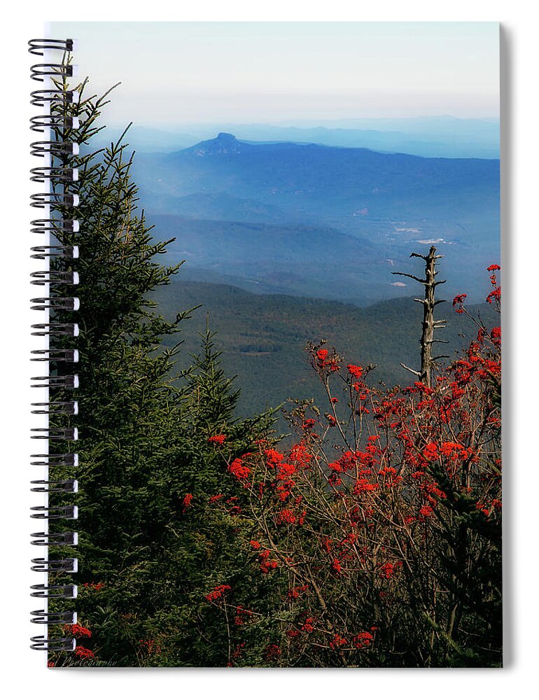  Spiral Notebook featuring the photograph Mount Mitchell View by C Renee Martin