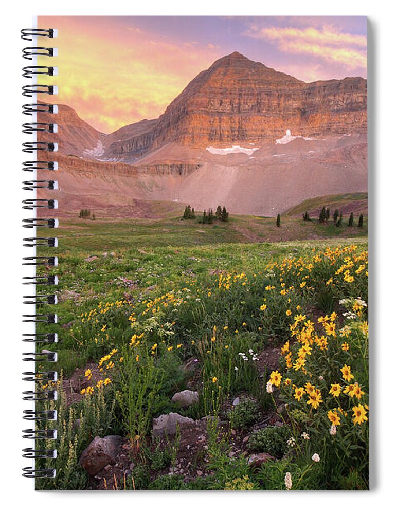 Utah Spiral Notebook featuring the photograph Mount Timpanogos Wildflower Sunset - Utah by Brett Pelletier