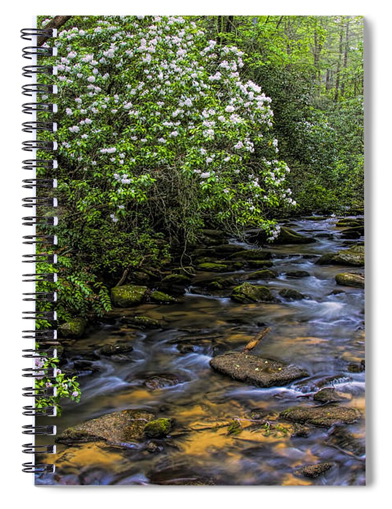 Mountain Laurels Spiral Notebook featuring the photograph Mountain Laurels light up Panther Creek by Barbara Bowen