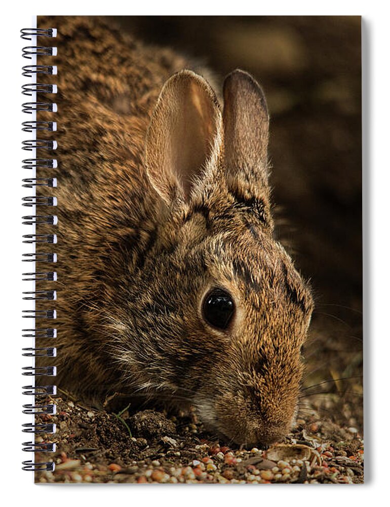 Animal Spiral Notebook featuring the photograph Mr. B by Bob Cournoyer