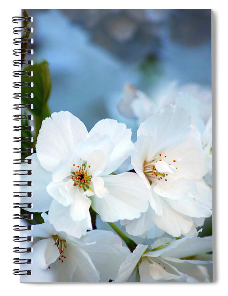 Nature Spiral Notebook featuring the photograph Mt. Fuji Cherry Blossoms by Emerita Wheeling