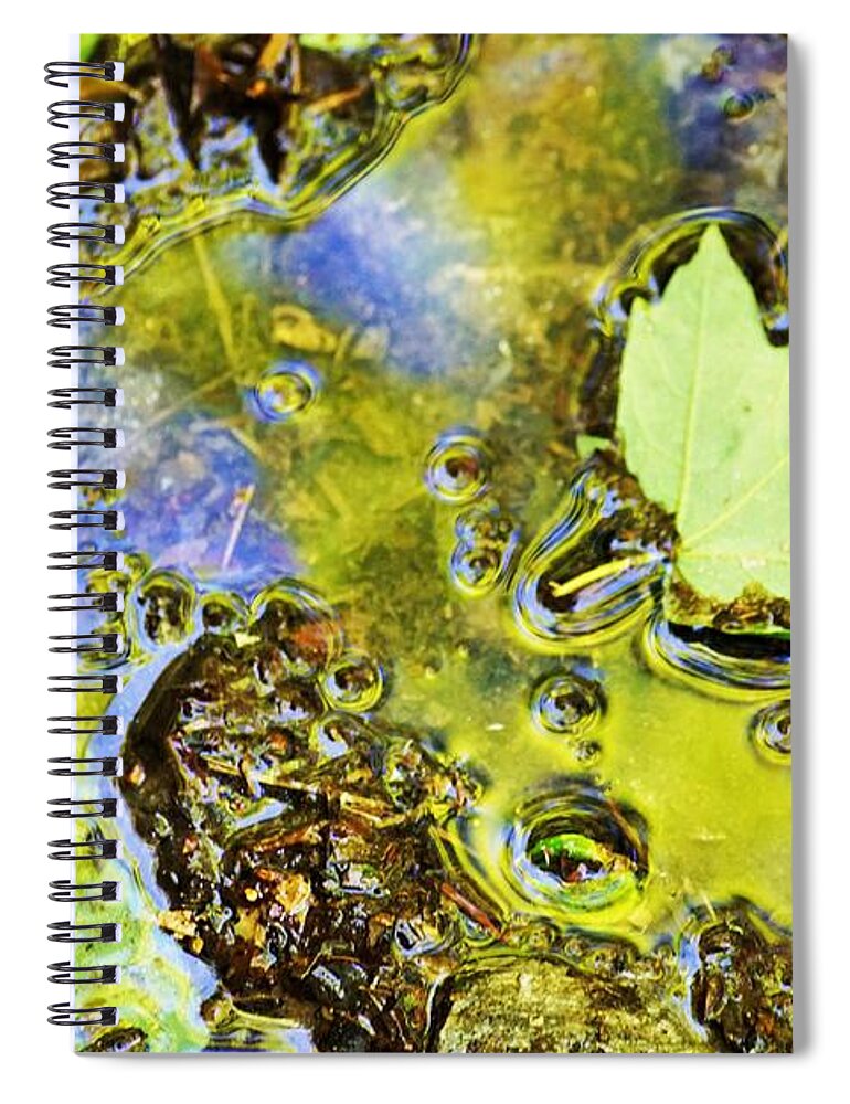 Landscape Spiral Notebook featuring the photograph Mud puddle by Merle Grenz