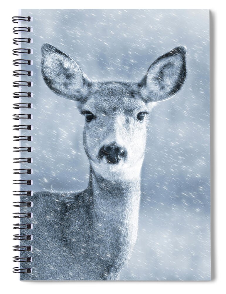 Mule Deer Spiral Notebook featuring the photograph Mule Deer Winter Portrait Blue by Jennie Marie Schell