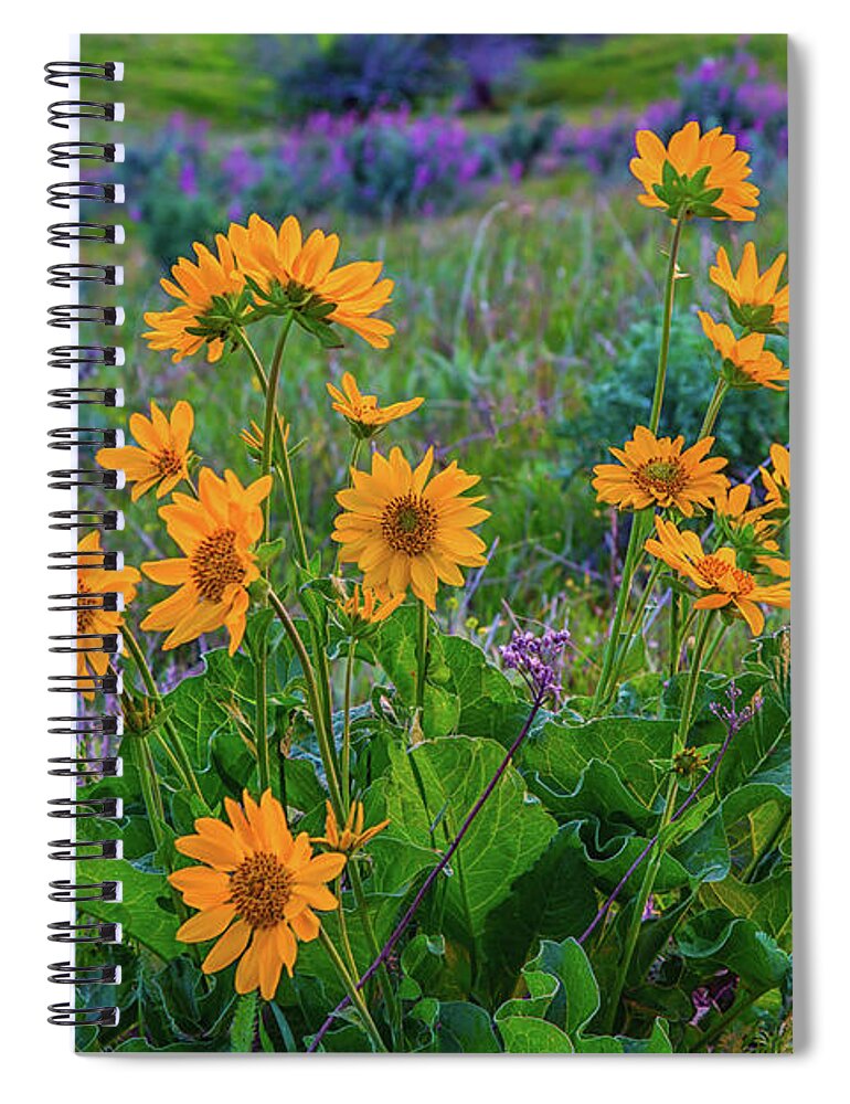 Landscape Spiral Notebook featuring the photograph Mule's Ear and Lupine by Marc Crumpler