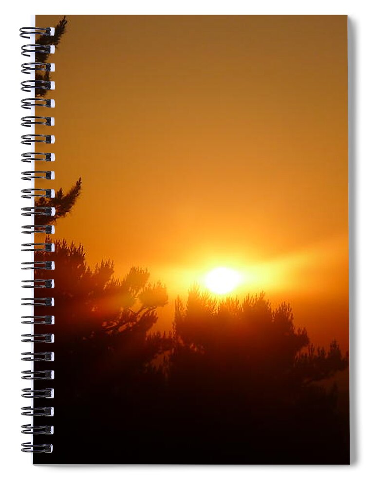 Sunset Spiral Notebook featuring the photograph Mulholland by Nora Boghossian