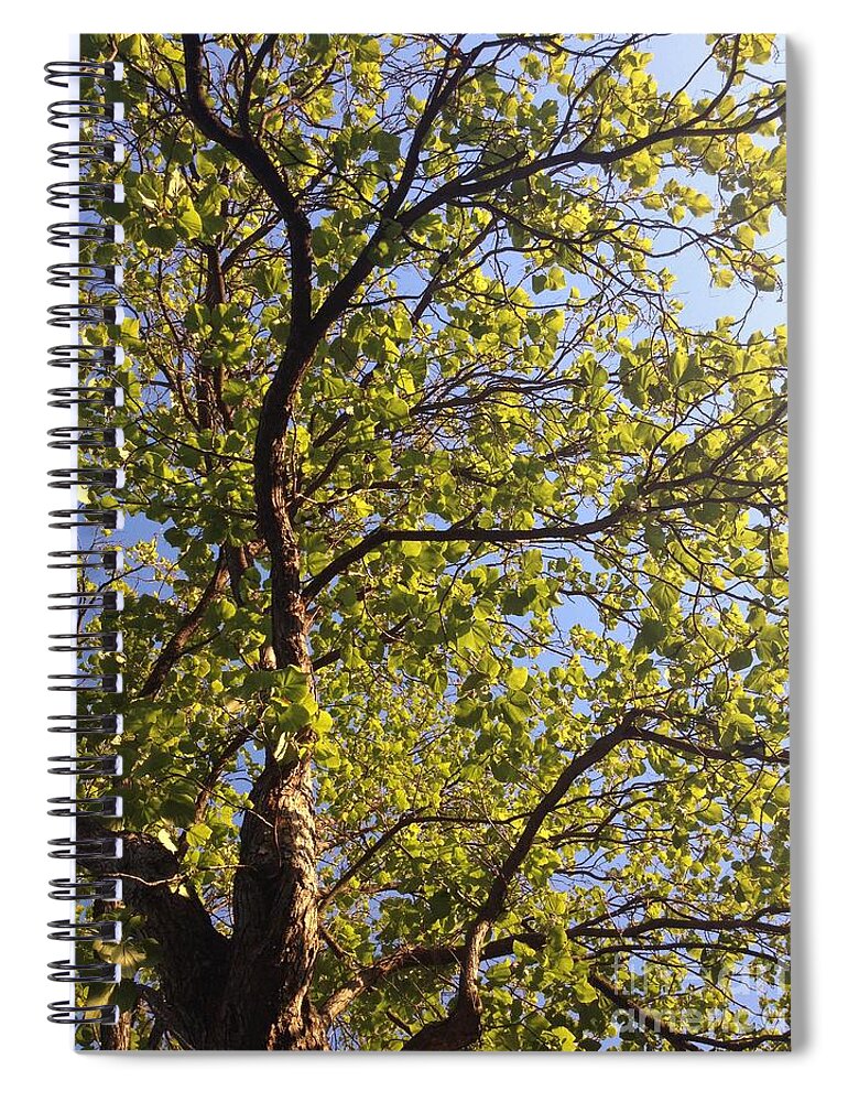 Multiplicity Spiral Notebook featuring the photograph Multiplicity by Nora Boghossian