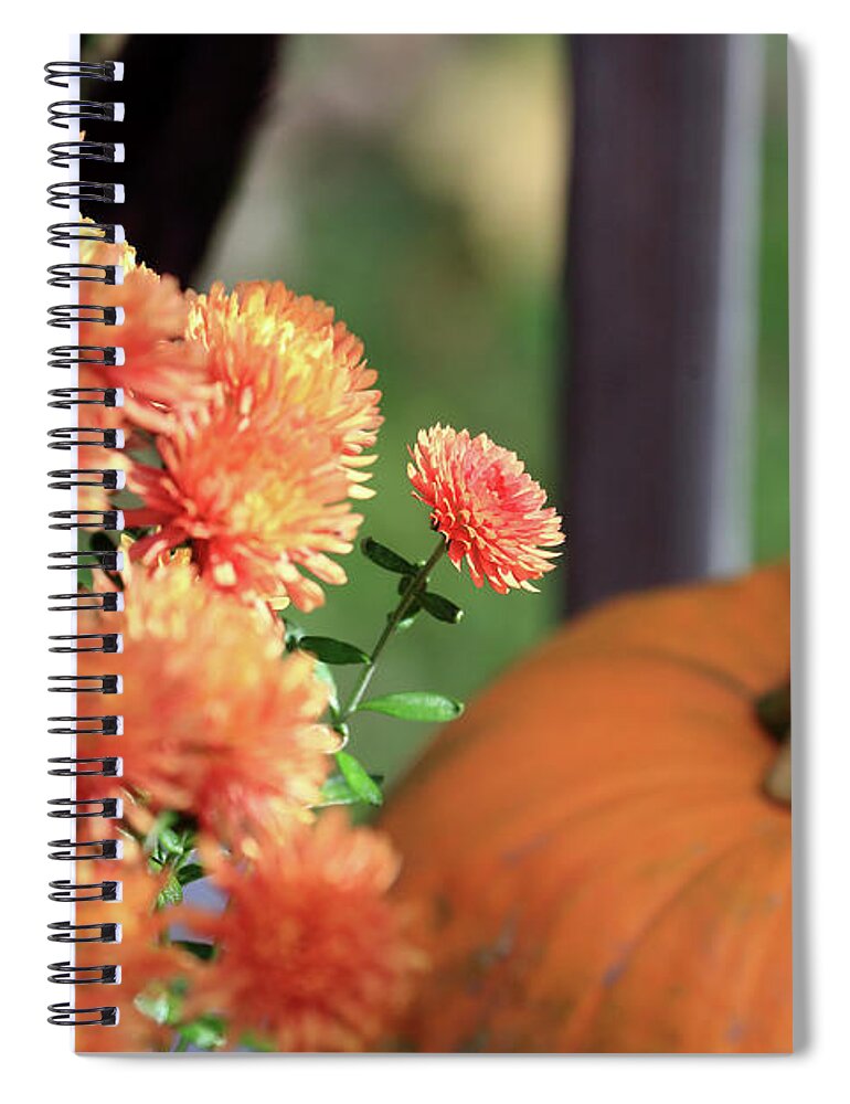 Mum Is The Word Spiral Notebook featuring the photograph Mum is the Word by PJQandFriends Photography