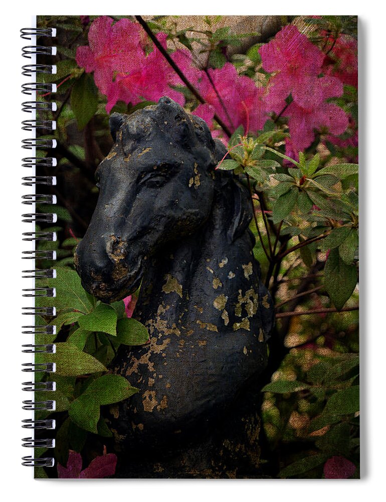 Horse Spiral Notebook featuring the photograph Murphy Medallion House Gatekeeper by Lesa Fine
