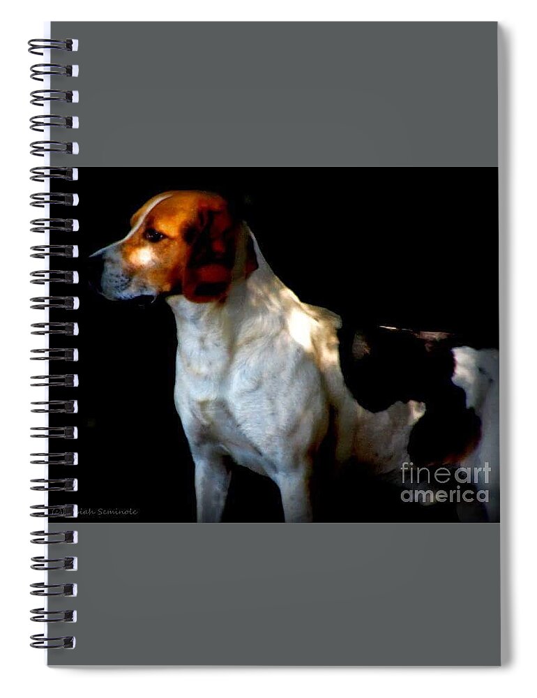 Hound Spiral Notebook featuring the photograph Murphy by Rabiah Seminole