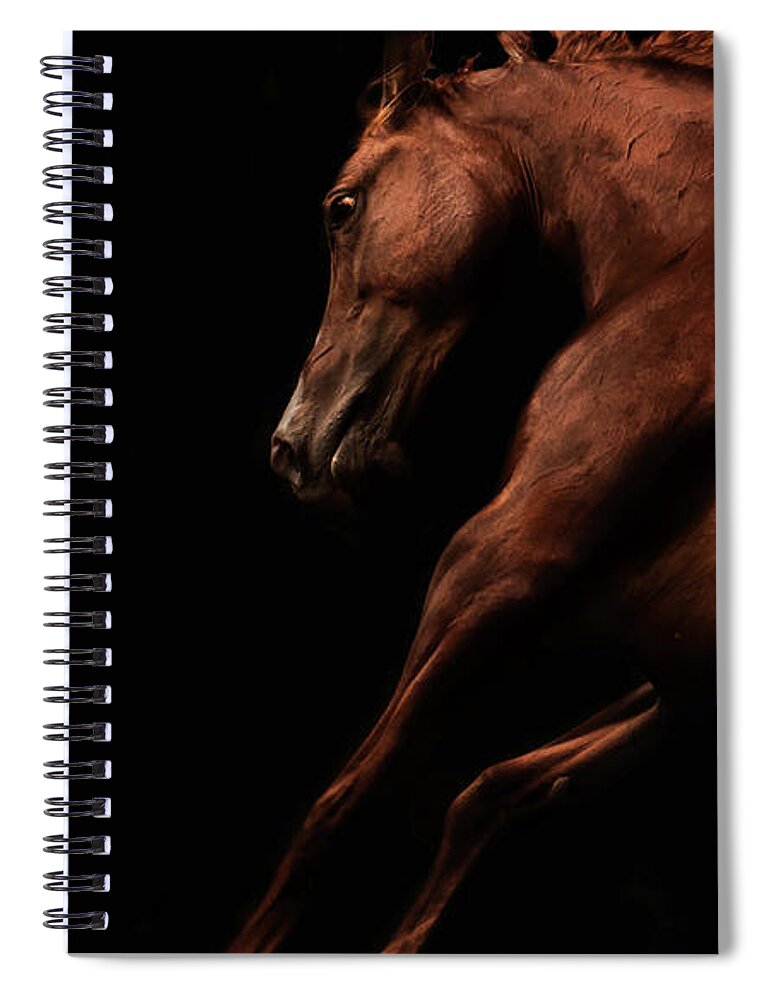 Horse Spiral Notebook featuring the photograph Muscle and Motion by Ryan Courson