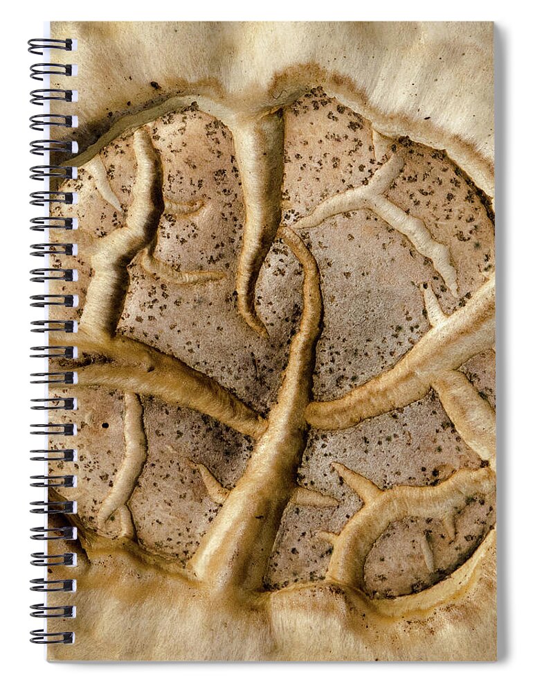Fungi Spiral Notebook featuring the photograph Mushroom Art by Jeff Phillippi