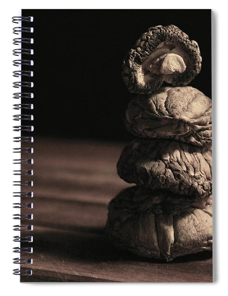 Mushrooms Spiral Notebook featuring the photograph Mushroom Cairn by Holly Ross