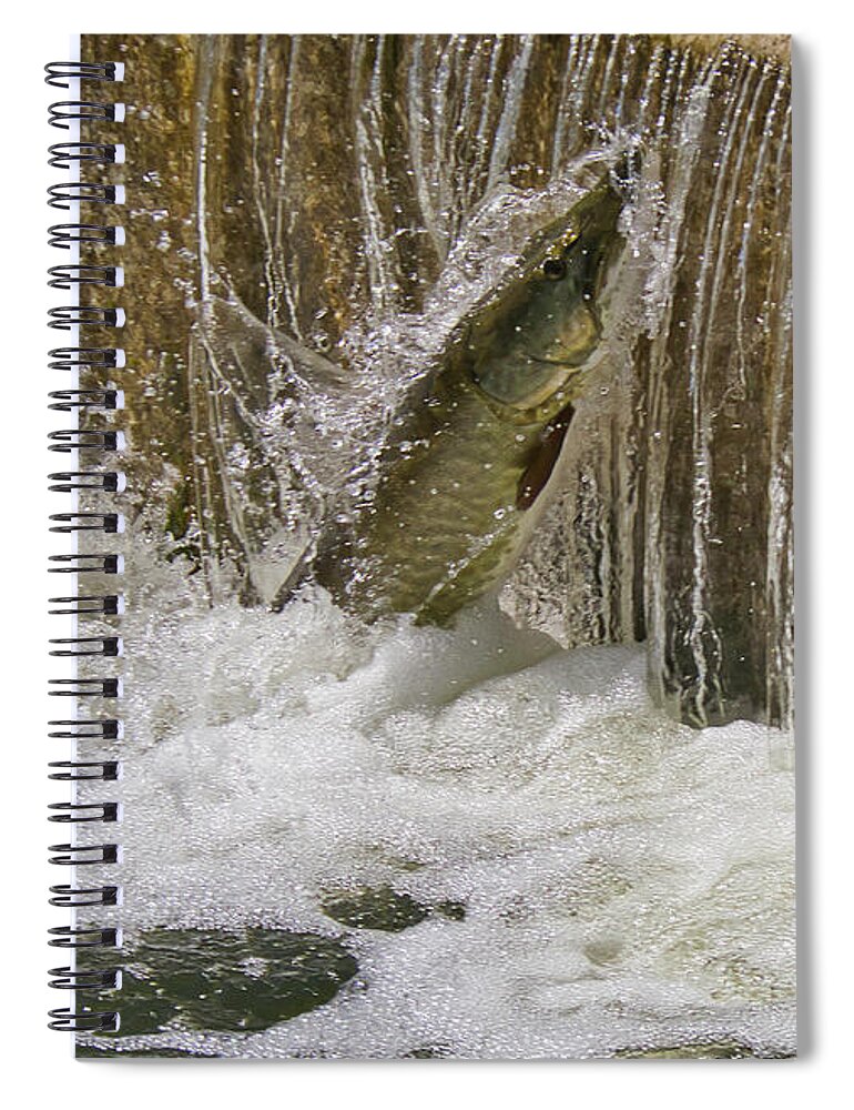 Muskie Spiral Notebook featuring the photograph Muskie 2 - Lake Wingra - Madison - Wisconsin by Steven Ralser
