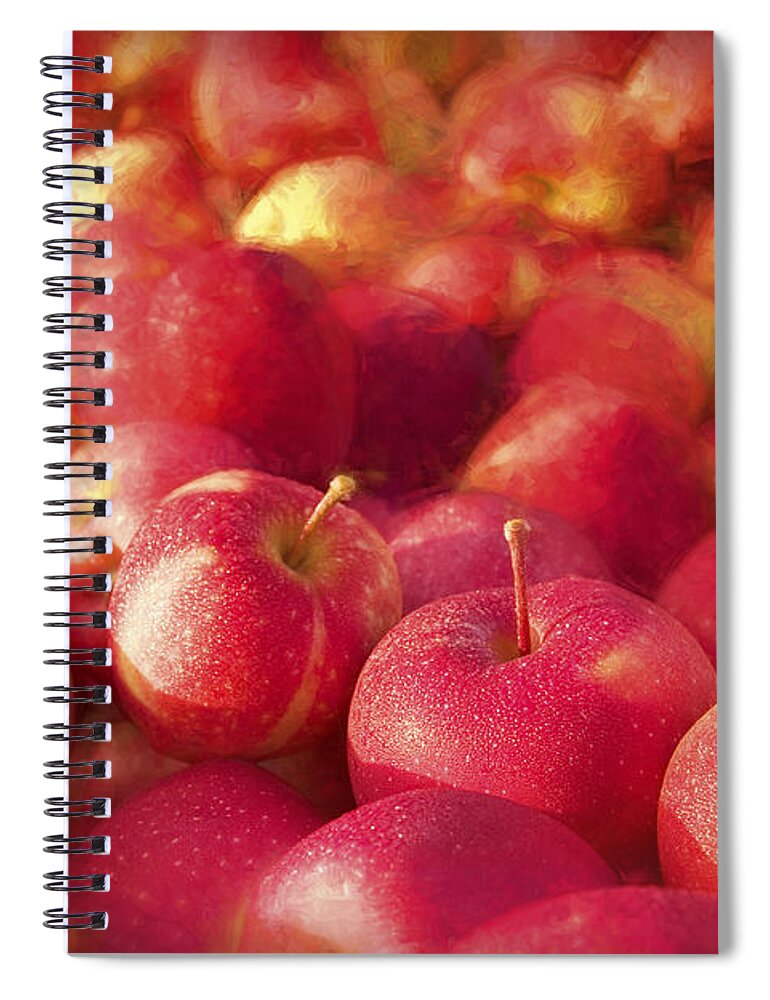 Apple Spiral Notebook featuring the photograph My Apple Harvest by George Robinson