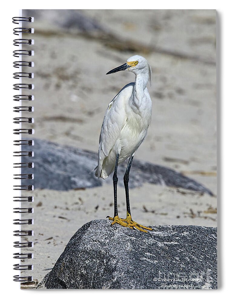 Egret Spiral Notebook featuring the photograph My Beach Pose by Deborah Benoit