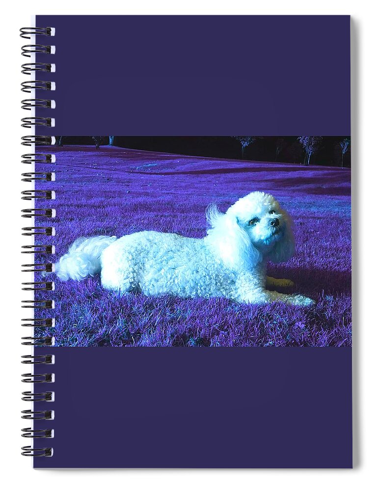 Fantasy Spiral Notebook featuring the photograph My Best Side In Cosmic Blue Bright by Rowena Tutty