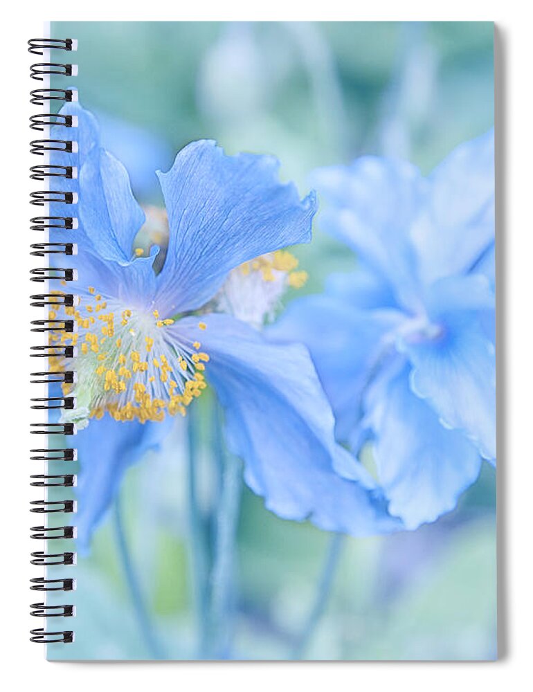 Alaska Spiral Notebook featuring the photograph My Blue Heaven by Theresa Tahara