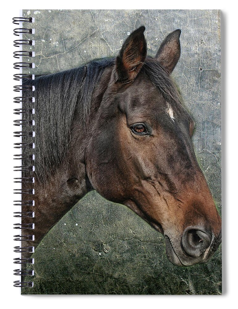 Animal Spiral Notebook featuring the photograph My Girl by Joachim G Pinkawa