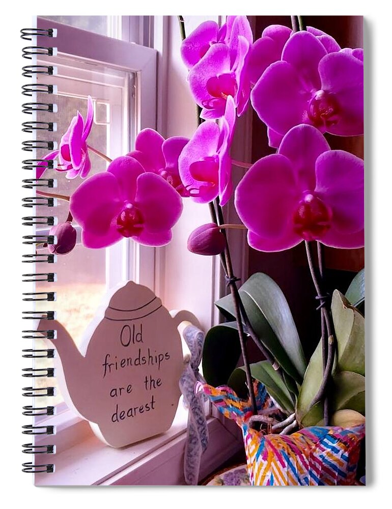 Orchids Spiral Notebook featuring the photograph My Orchids by Eileen Brymer
