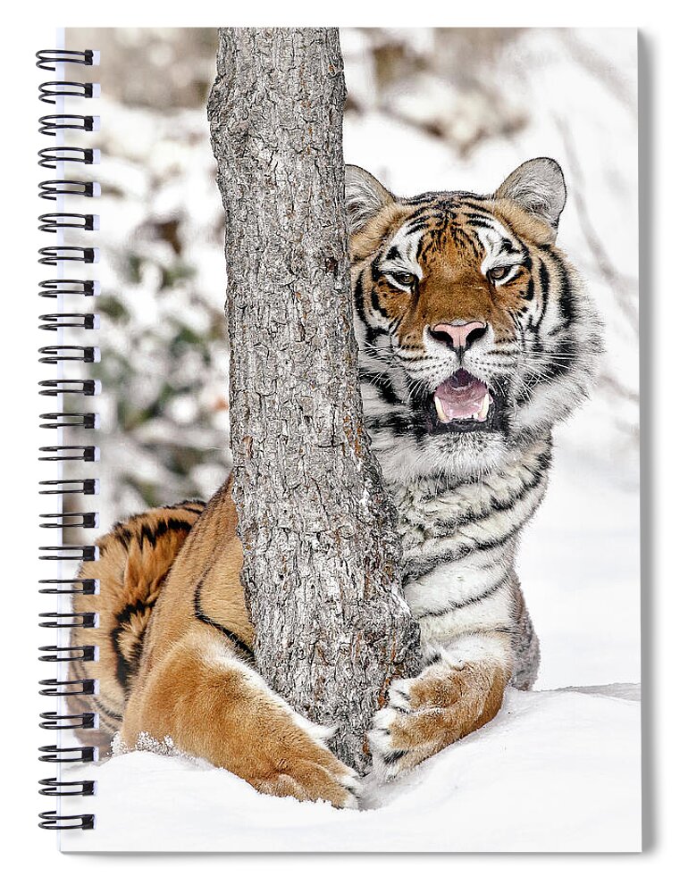 Tiger Spiral Notebook featuring the photograph MY Tree by Athena Mckinzie