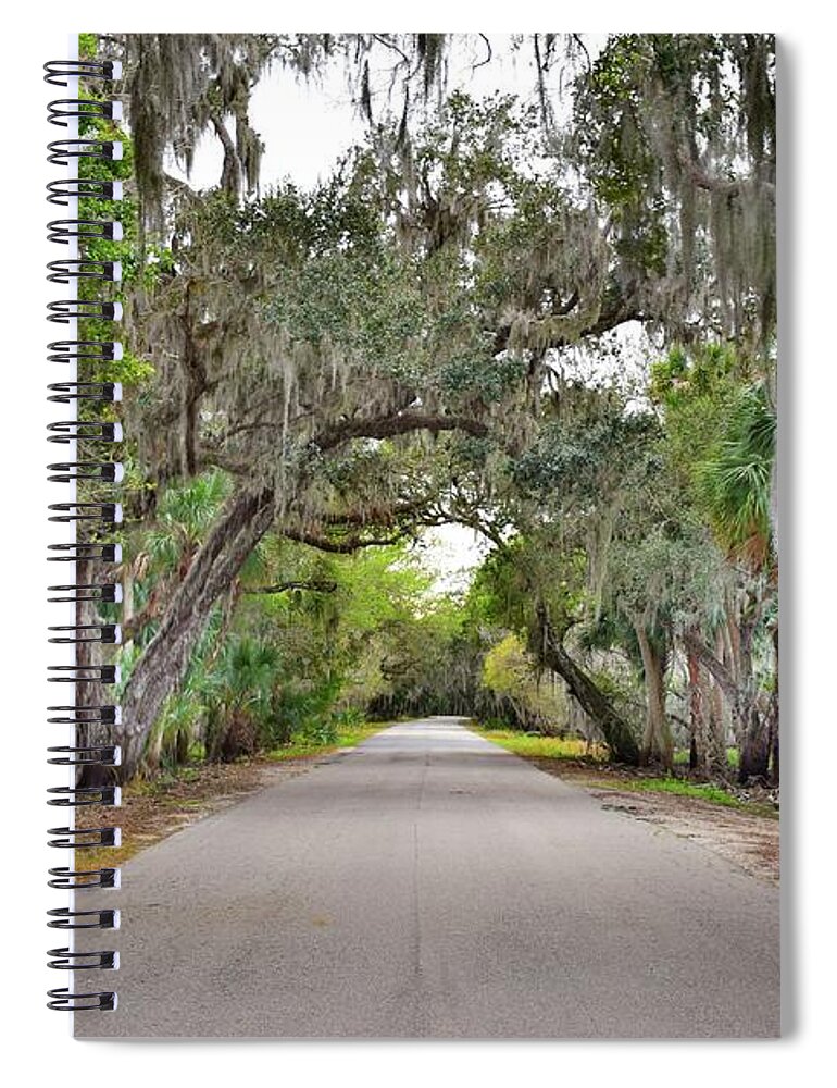 Florida Spiral Notebook featuring the photograph Myakka Overhead Moss by Florene Welebny