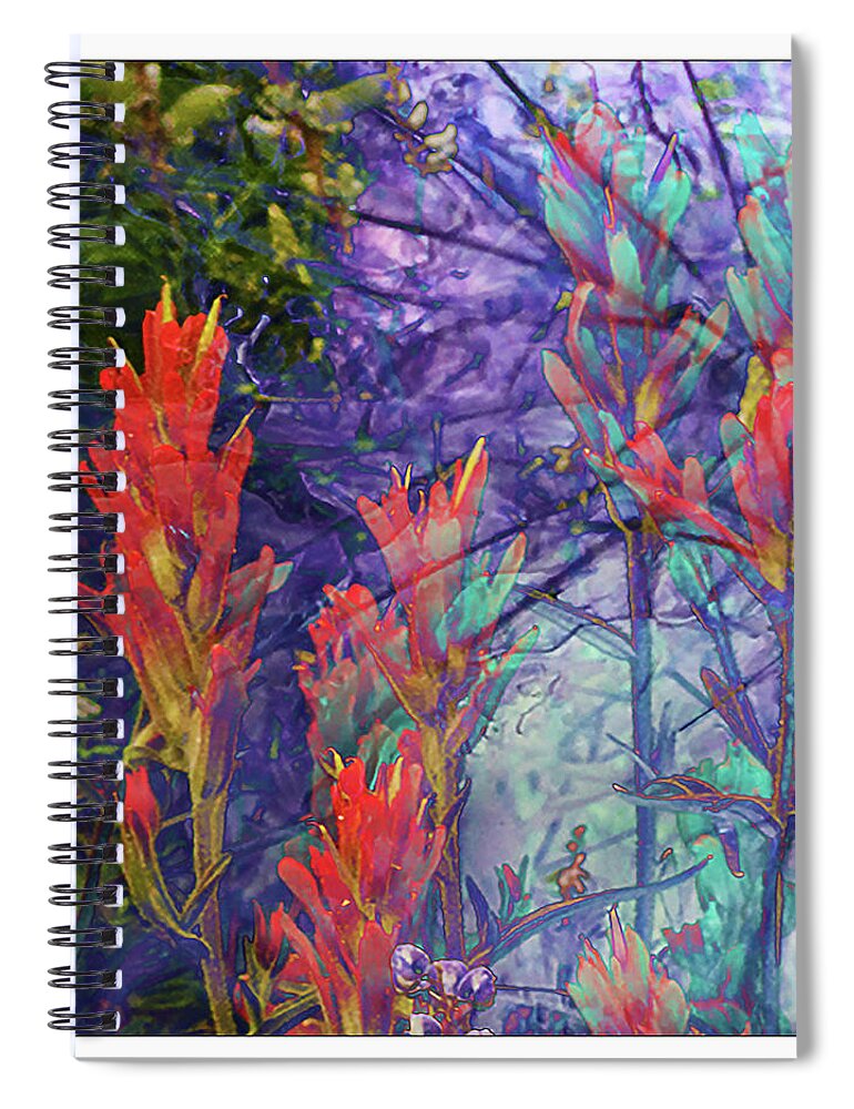 Indian Paintbrush Spiral Notebook featuring the photograph Mystic by Peggy Dietz