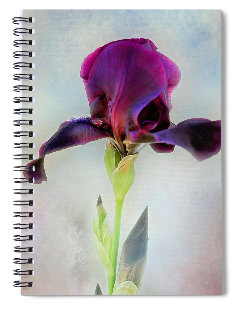 Black Iris Print Spiral Notebook featuring the photograph Mystical Black Iris Print by Gwen Gibson