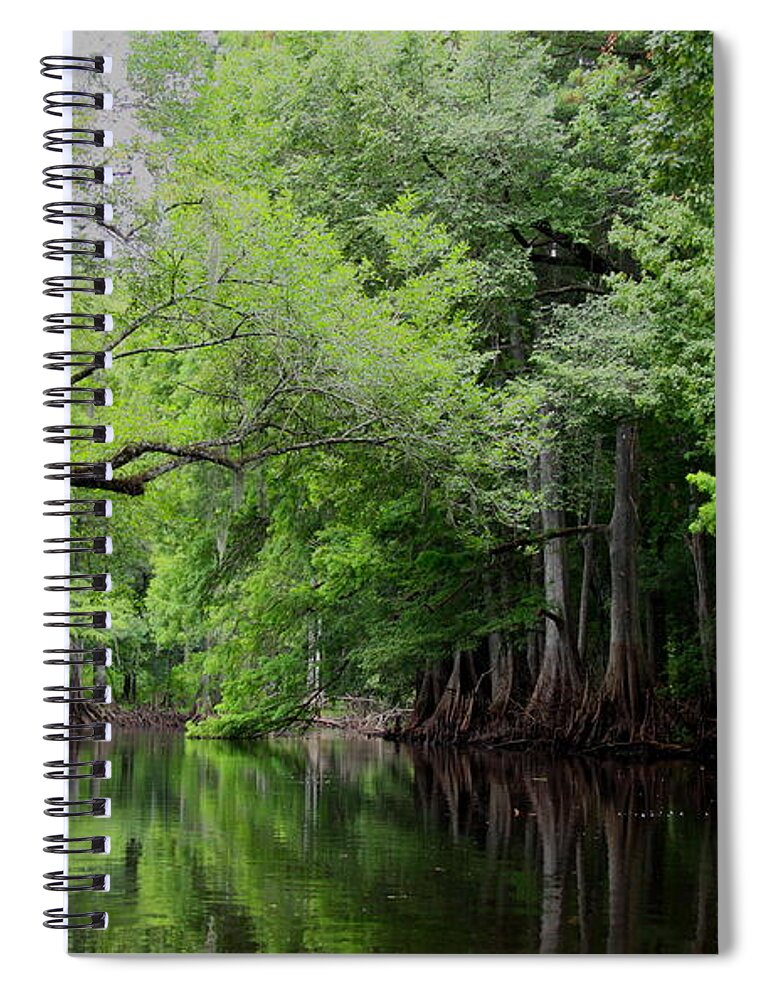 Withlacoochee River Spiral Notebook featuring the photograph Mystical Withlacoochee River by Barbara Bowen