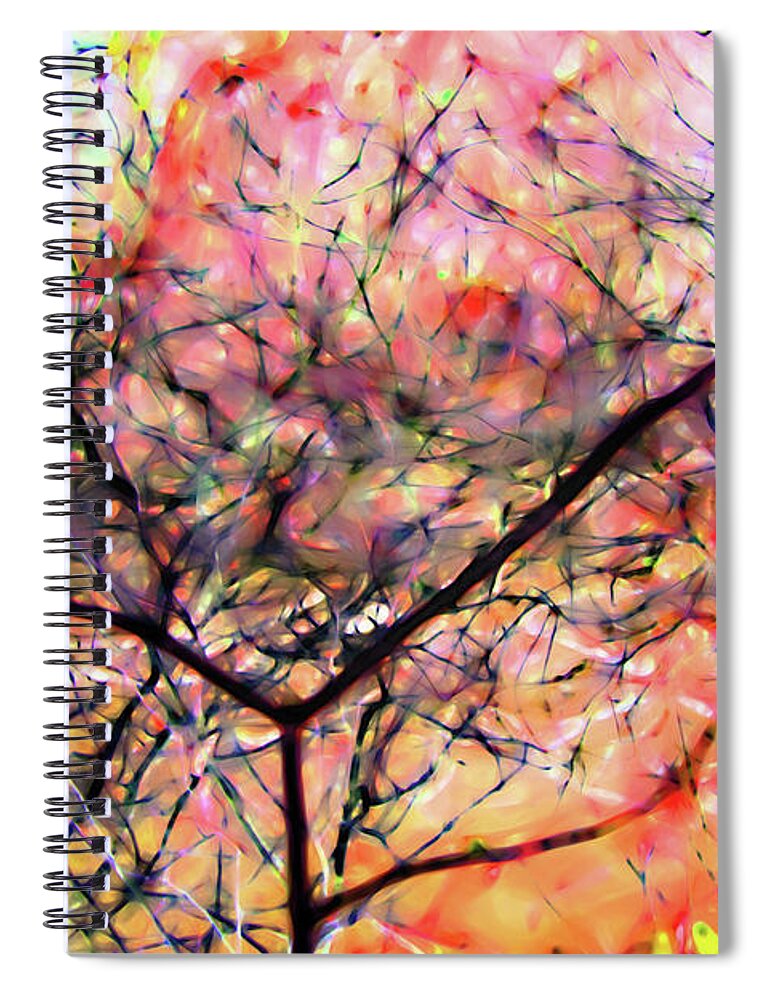 Figurative Abstract Spiral Notebook featuring the photograph Mystique around the Bayou by Gina O'Brien