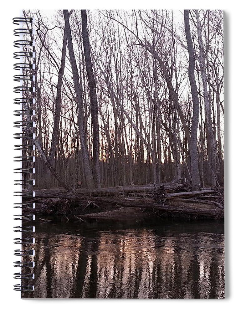 Landscape Spiral Notebook featuring the photograph Naked by Dani McEvoy