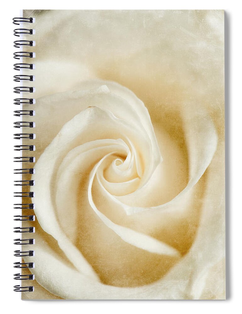 White Rose Spiral Notebook featuring the photograph Namaste by Jill Love