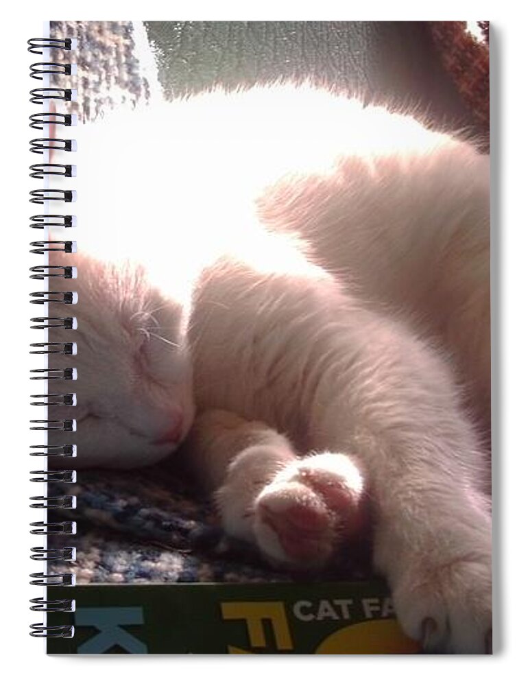 Cat Spiral Notebook featuring the photograph Nap Time by Denise F Fulmer