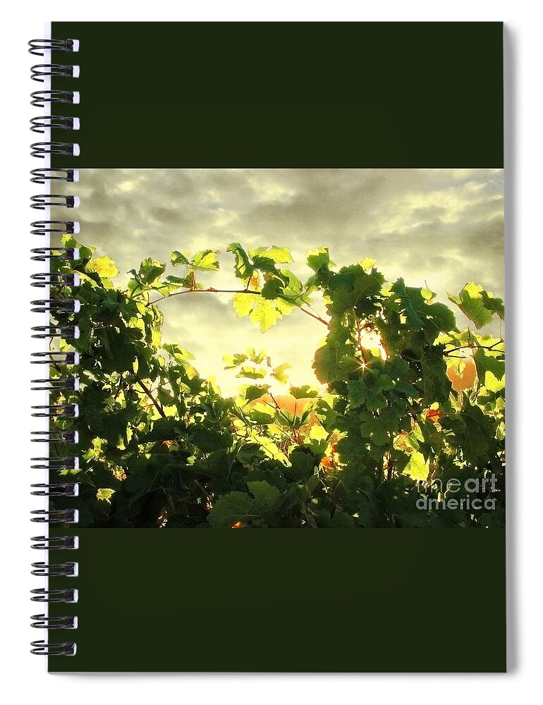 Dusk Spiral Notebook featuring the photograph Napa Dusk by Ellen Cotton