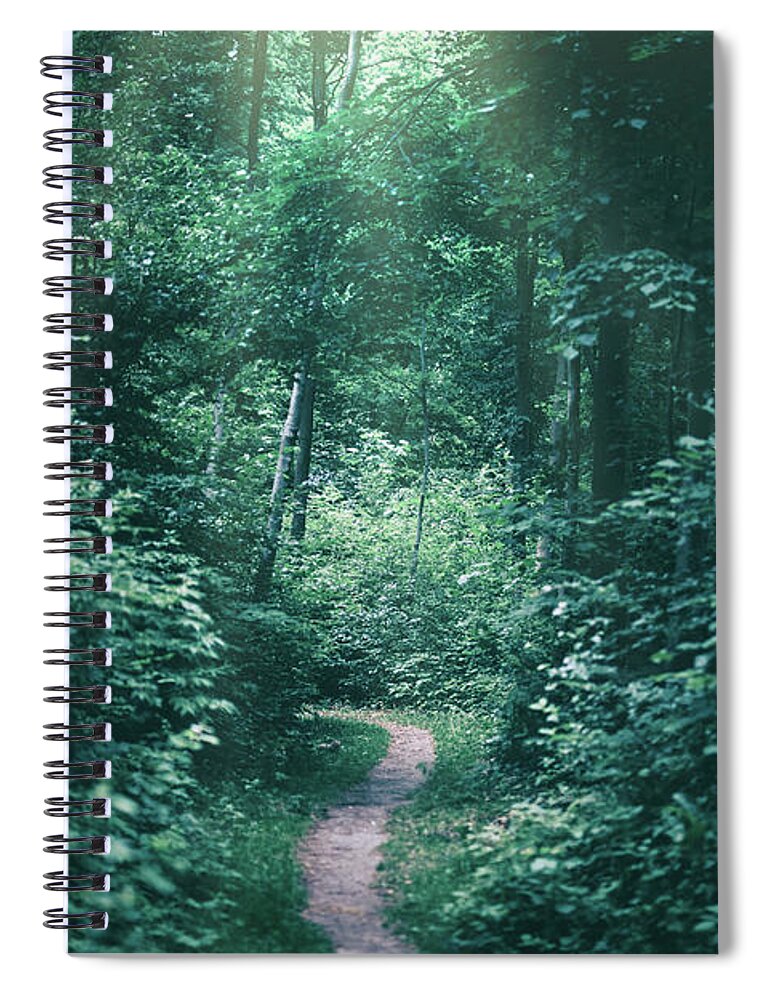 Forest Spiral Notebook featuring the photograph Narrow path in a dark forest illuminated by sunrays. by Michal Bednarek