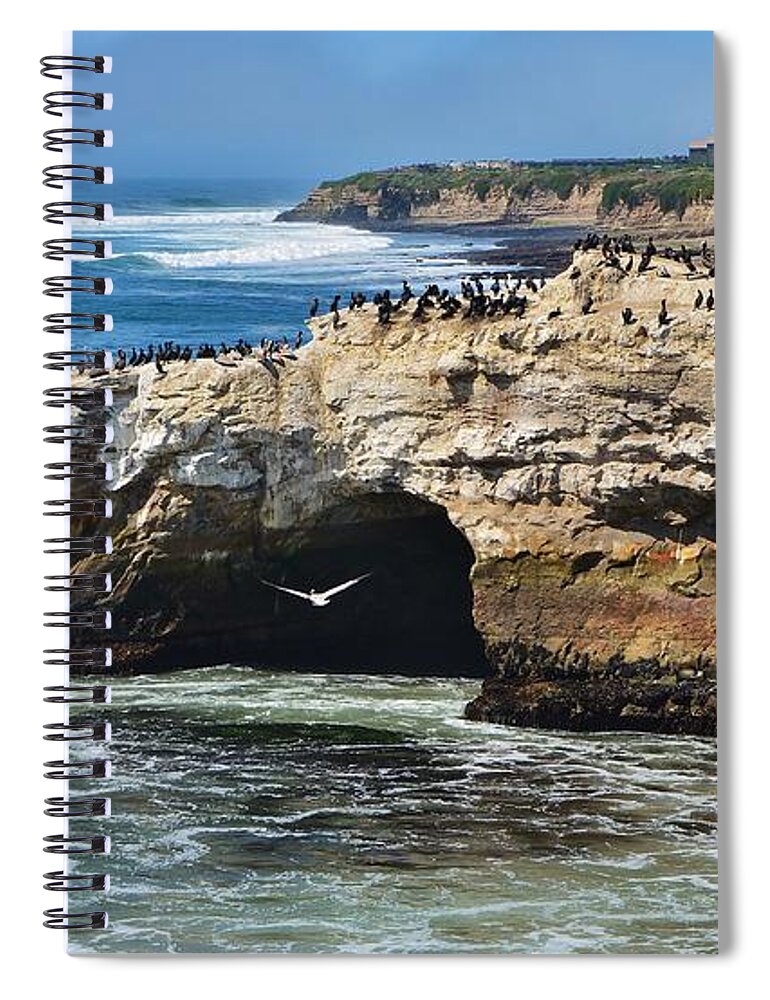 Natural Bridges Spiral Notebook featuring the photograph Natural Bridges Santa Cruz by Marilyn MacCrakin
