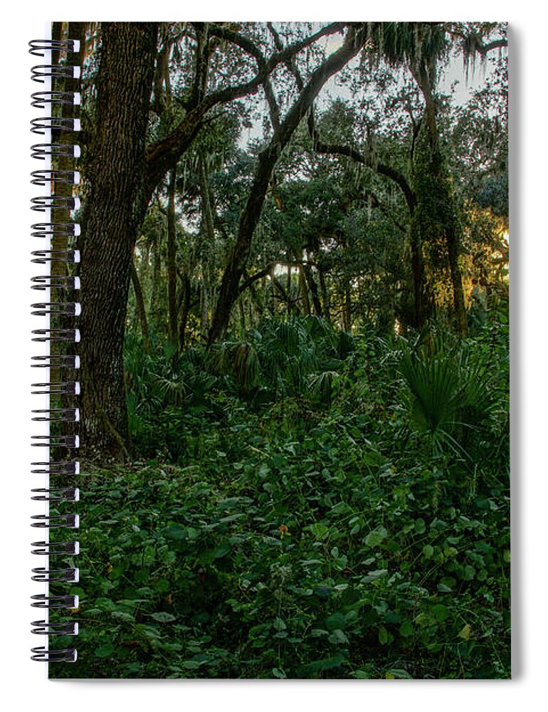 Vine Spiral Notebook featuring the photograph Natural Florida Wilderness by Brian Kamprath