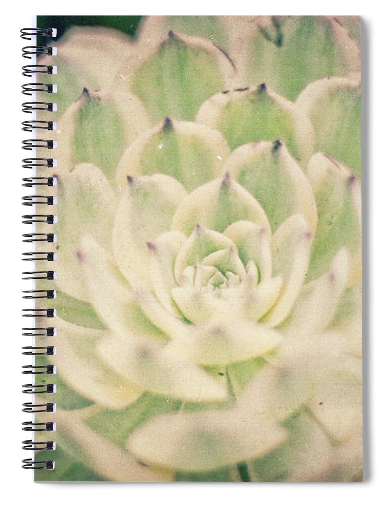 Garden Spiral Notebook featuring the photograph Natural Geometry by Ana V Ramirez
