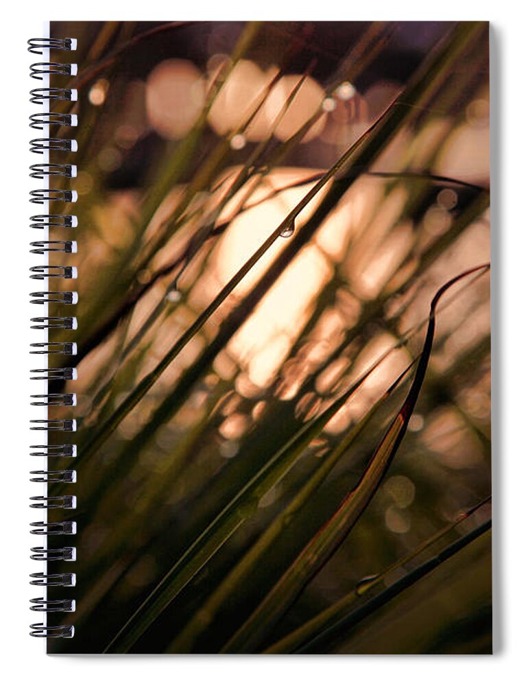 Nature Spiral Notebook featuring the photograph Nature at Peace by Toni Hopper