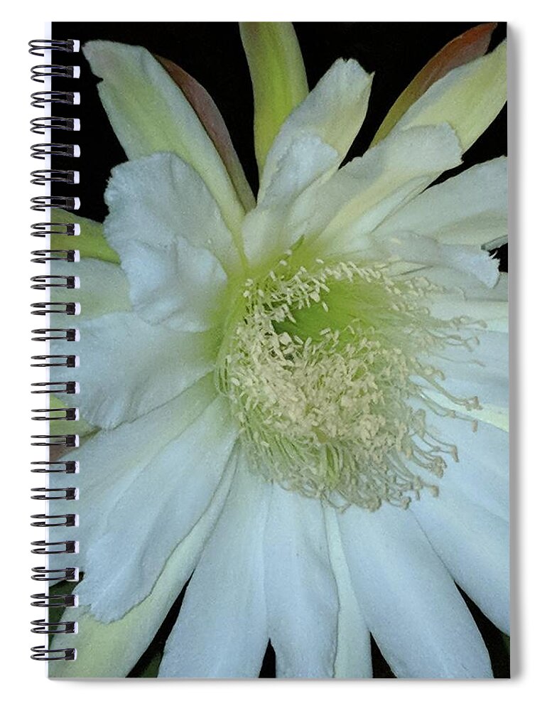Nature Spiral Notebook featuring the digital art Nature Cyrus 3 by Scott S Baker
