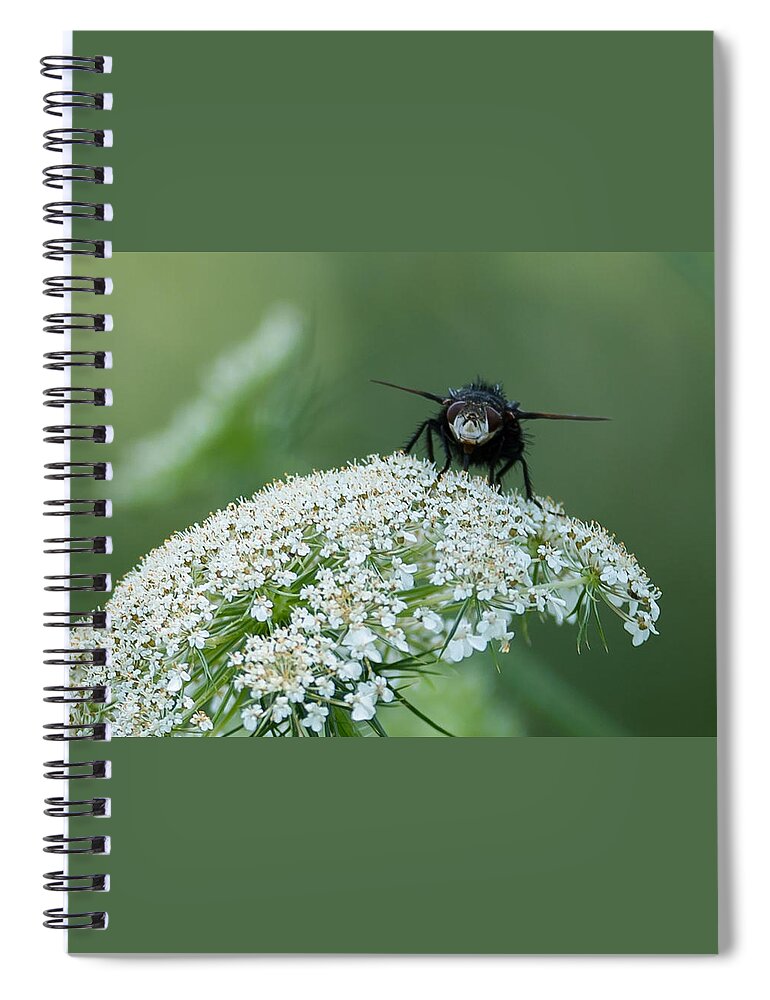 Plant Spiral Notebook featuring the photograph Nature Up Close by Holden The Moment