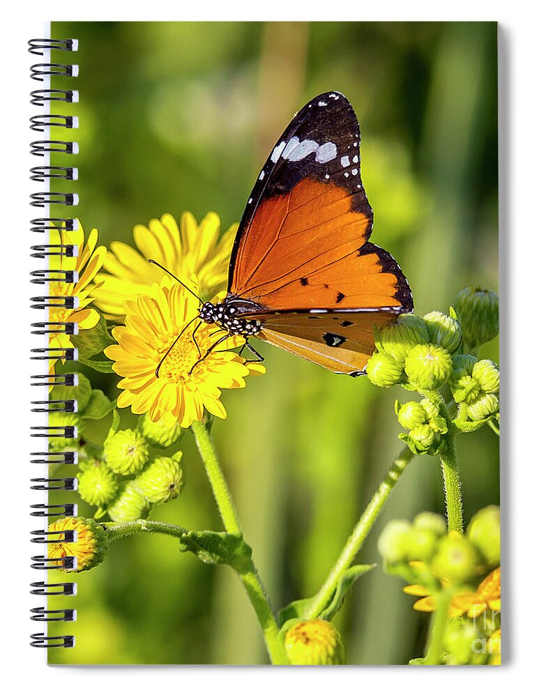 Butterfly Spiral Notebook featuring the photograph Nature warm colors by Arik Baltinester