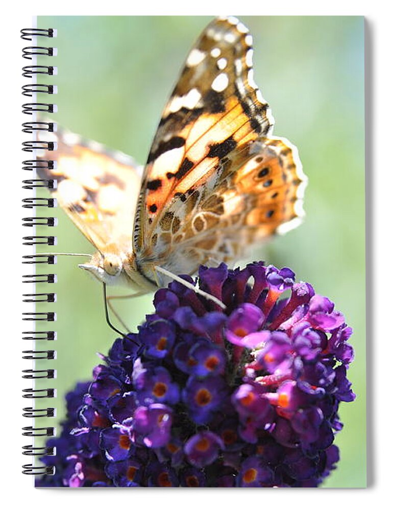 Butterfly Spiral Notebook featuring the photograph Nature's candy shop by Eduard Meinema