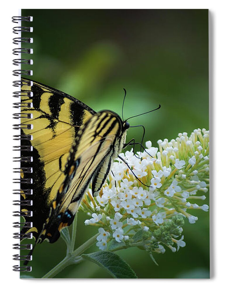 Insects Spiral Notebook featuring the photograph Natures Flight by Stewart Helberg