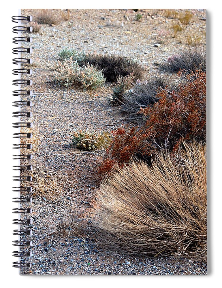 Sage Brush Spiral Notebook featuring the photograph Natures Garden - Utah by DArcy Evans