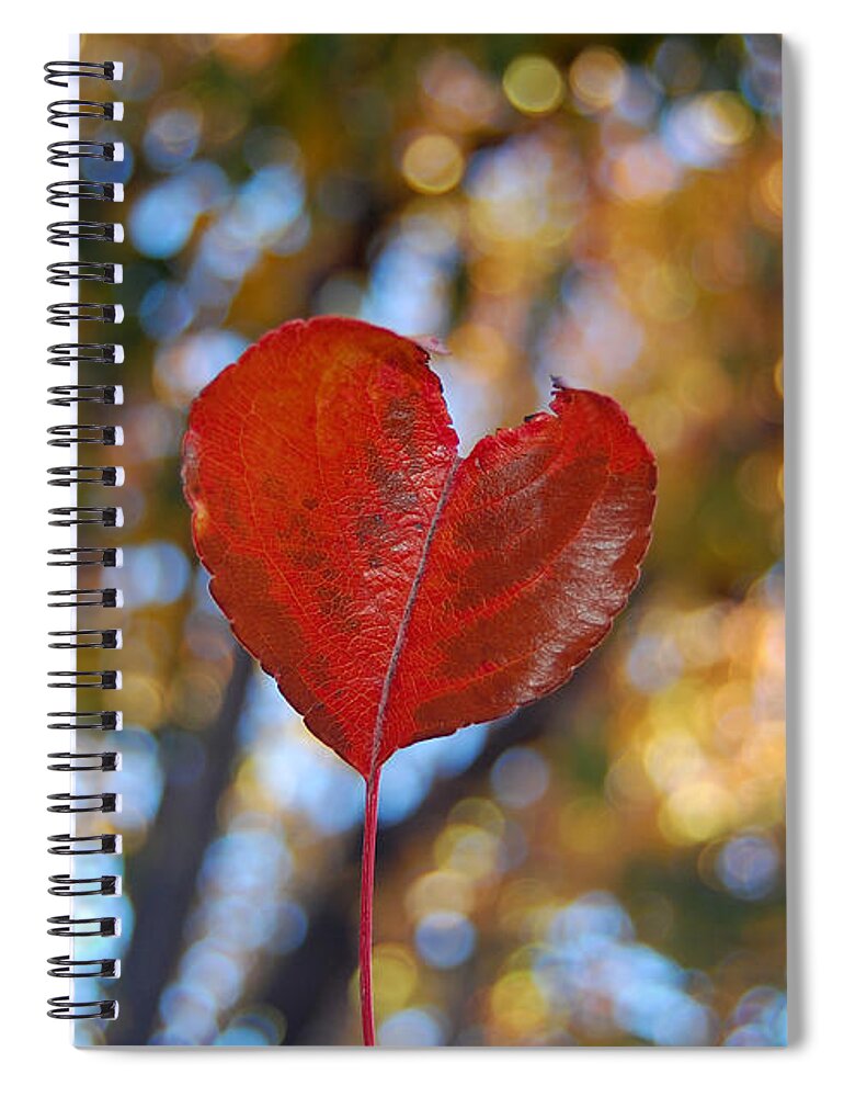 Heart Spiral Notebook featuring the photograph Nature's Love by Debra Thompson