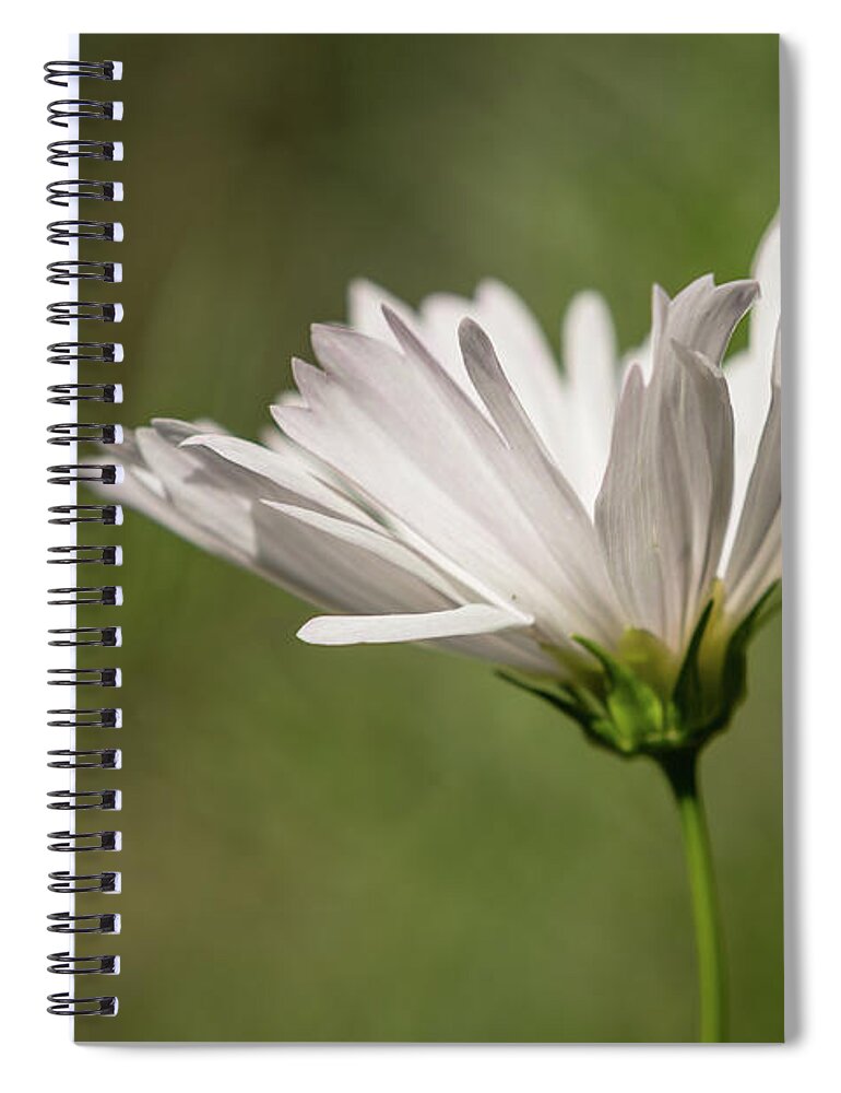 2016 Spiral Notebook featuring the photograph Nature's Paintbrush by Wade Brooks
