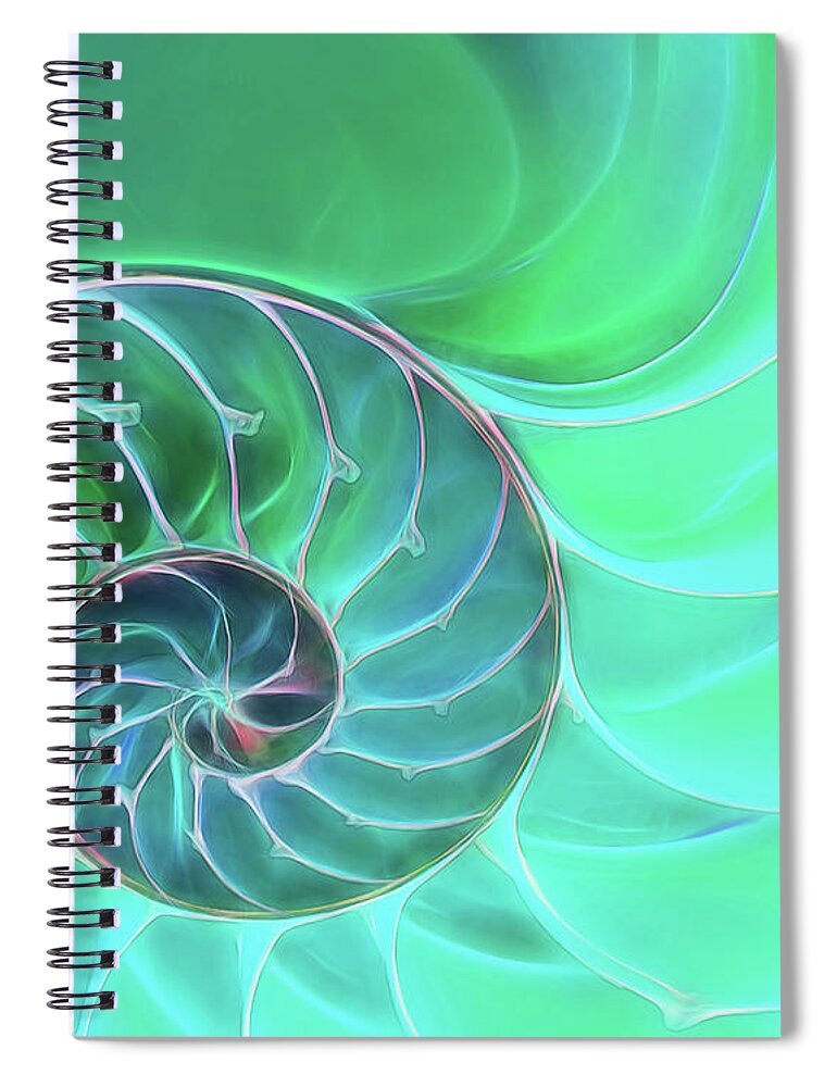 Nautilus Shell Spiral Notebook featuring the photograph Nautilus Aqua Spiral by Gill Billington
