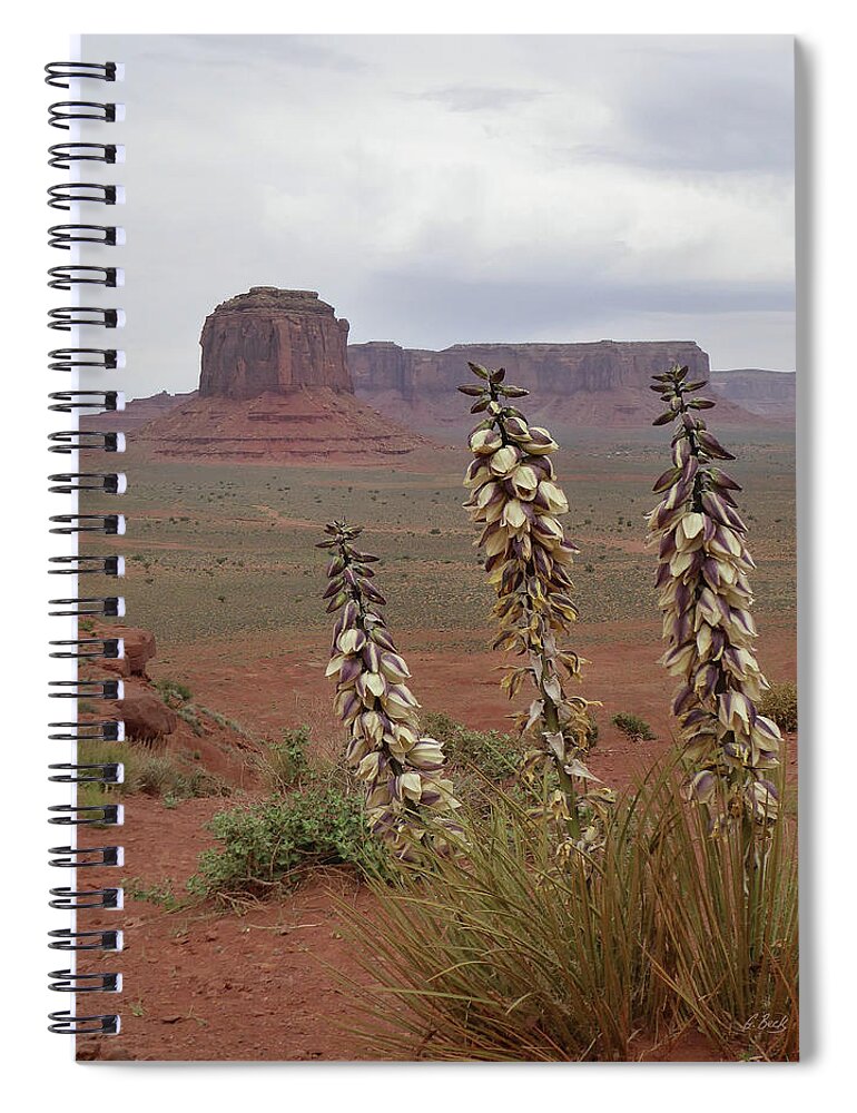Desert Spiral Notebook featuring the photograph Navajo Territory by Gordon Beck