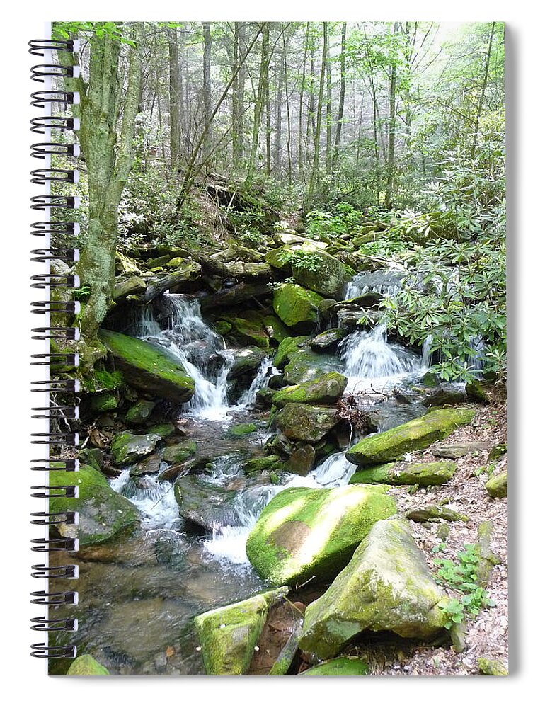 Nc Forests Spiral Notebook featuring the photograph Near the Grotto by Joel Deutsch